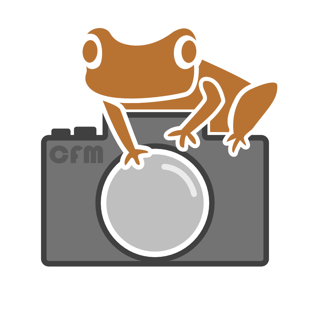 Copper Frog Media